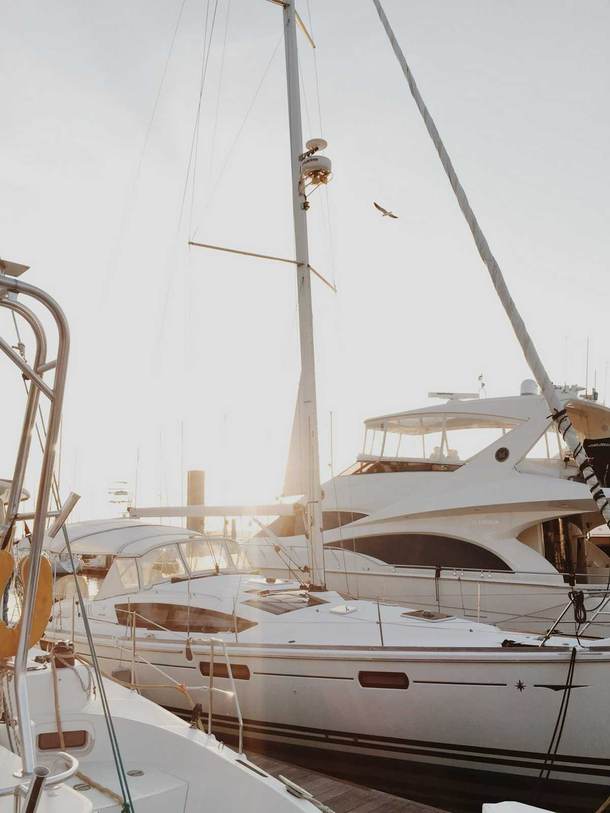 Adventure Meets Relaxation A Visitor’s Guide to Yachting in Florida